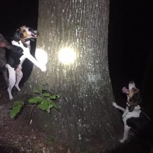 Meet your Posher, Walker