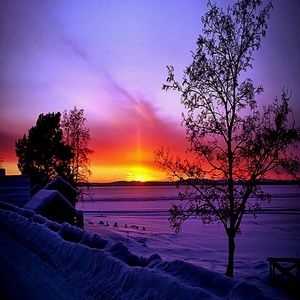 Meet your Posher, Ronda