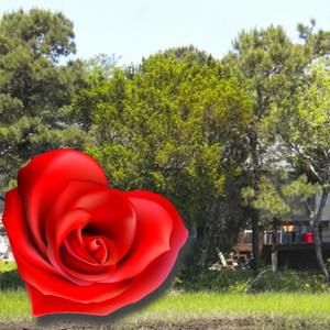 Meet your Posher, Kathy aeesha