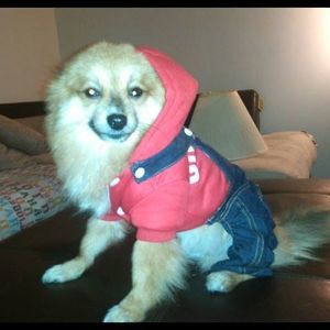 Meet your Posher, Shenna