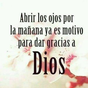 Meet your Posher, Carlos