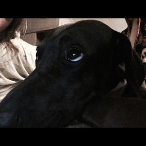 Meet your Posher, Tory