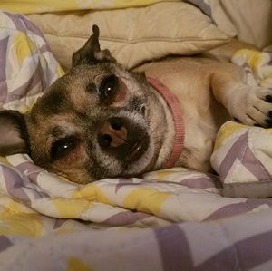 Meet your Posher, Erin