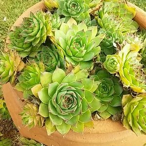 Meet your Posher, Becky