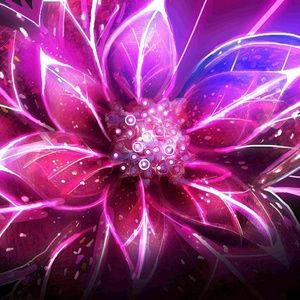 Meet your Posher, Jeanette