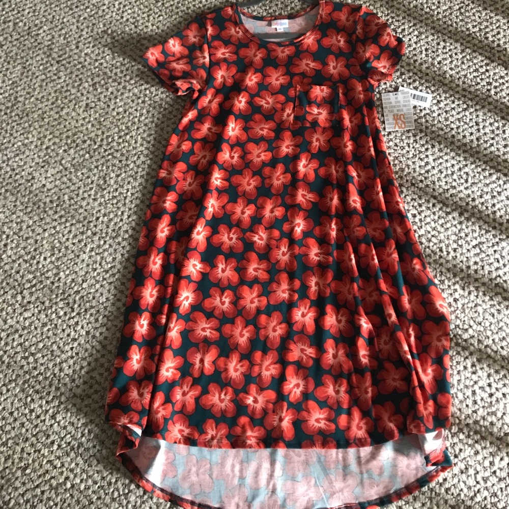 NWT LulaRoe Carly dress (has the pocket)