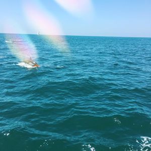 Meet your Posher, Doyle