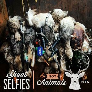 Meet your Posher, Norman