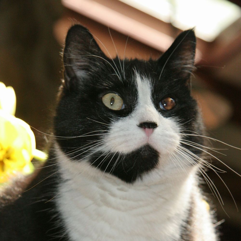 Meet your Posher, Lois