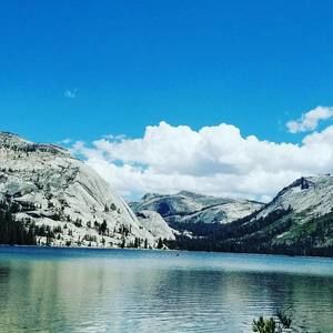 Meet your Posher, Si