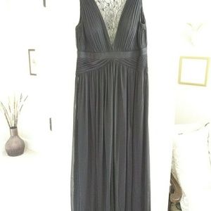 Adrianna Papell Tule and Lace gown