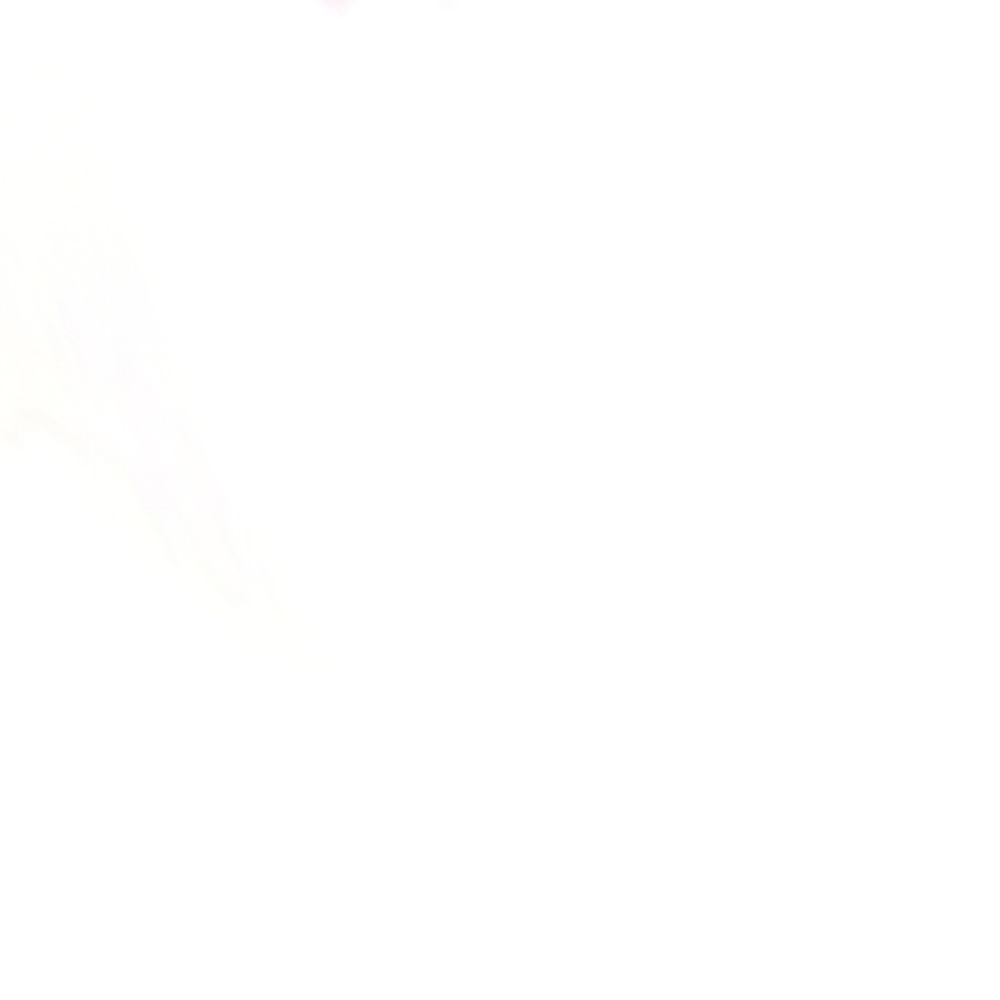 Not for sale- looking for olive green jet set MK