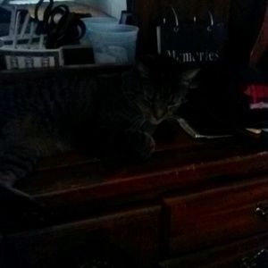 Meet your Posher, Patricia