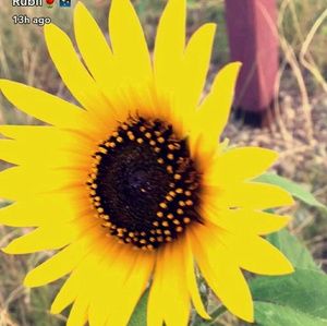 Meet your Posher, Katelyn