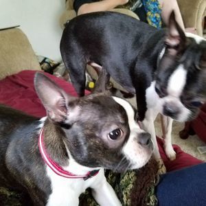 Meet your Posher, Sue