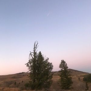 Meet your Posher, Carson