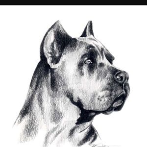 Meet your Posher, Keith