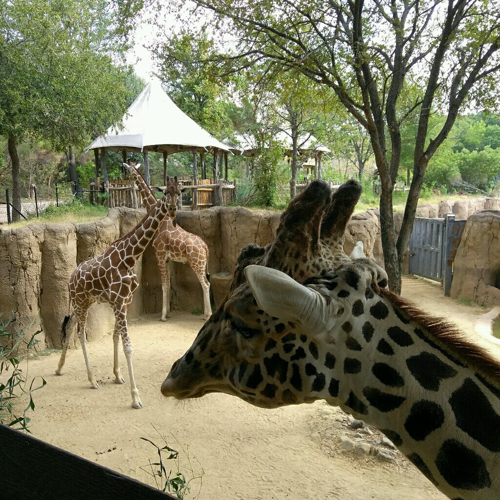 Meet your Posher, Karen