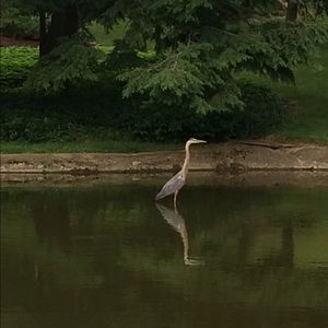 Meet your Posher, Keisha