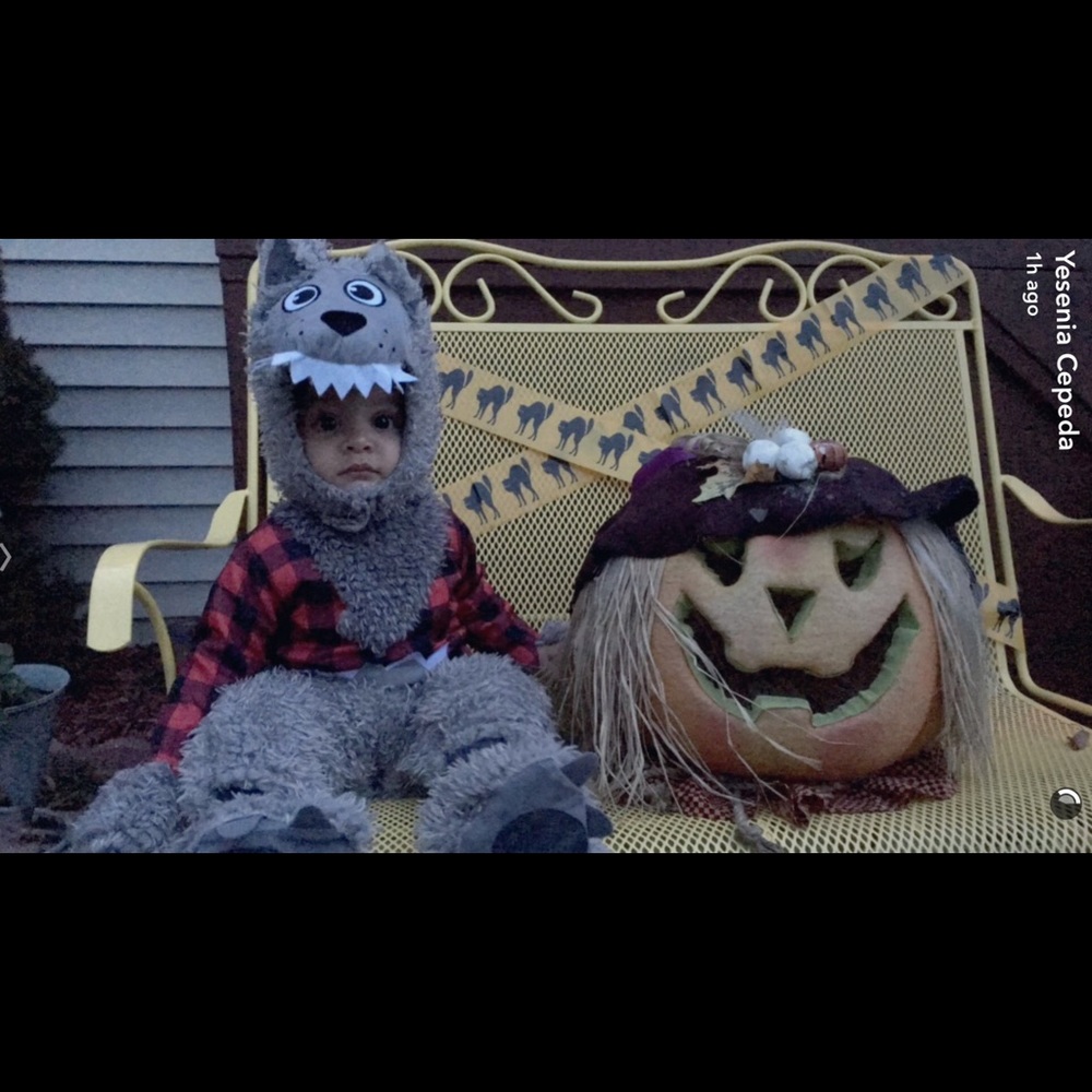 Kids big bad wolf costume
