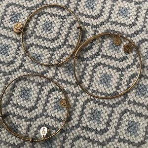 Grooves pattern gold alex and ani bracelet