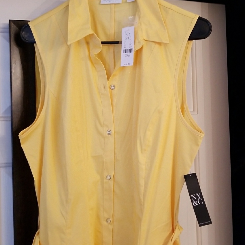 NWT Dress