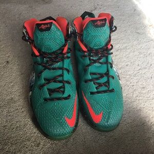 Lebron 12s “Akron birch”