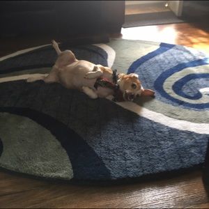 Meet your Posher, Joyce