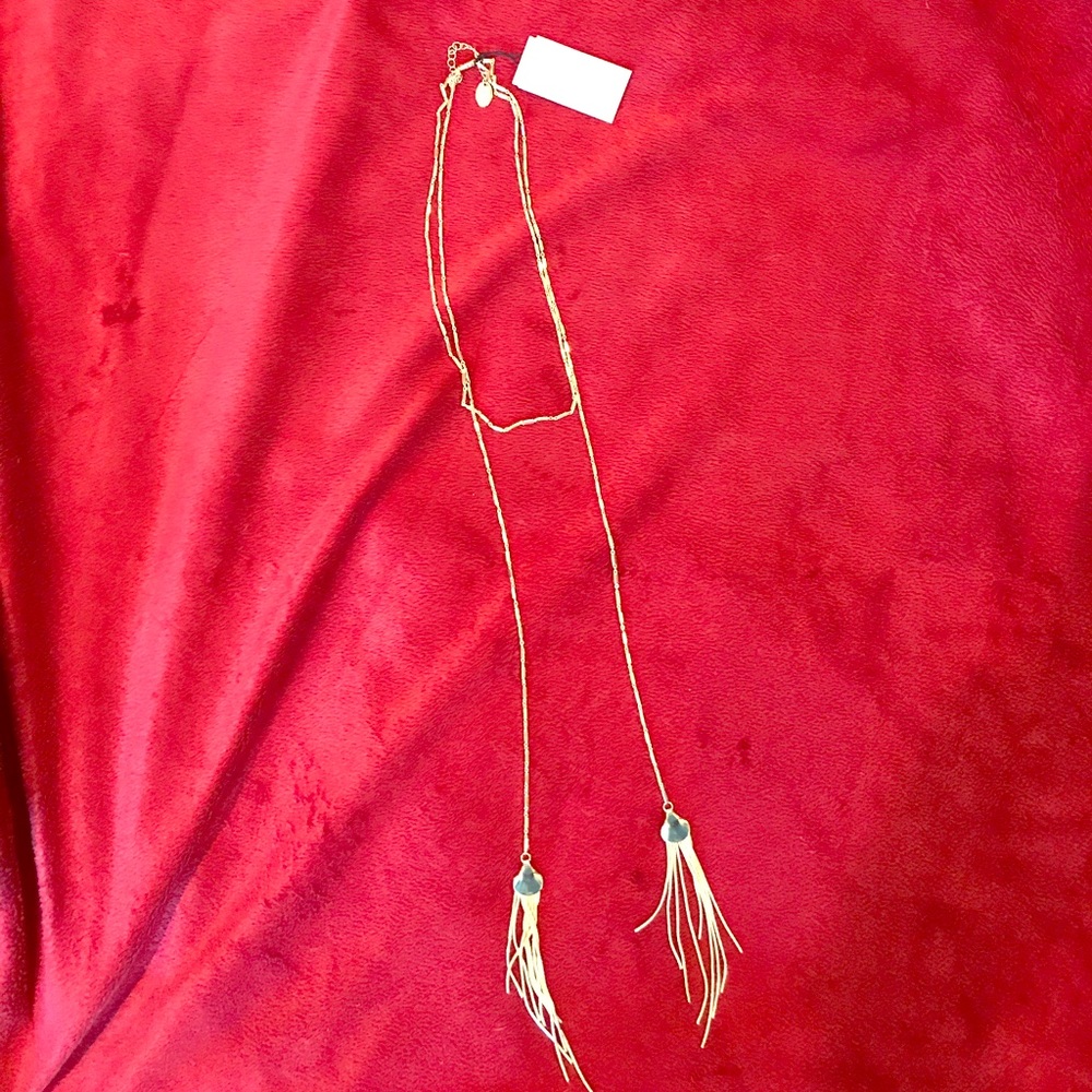 NWT Gold plated necklace