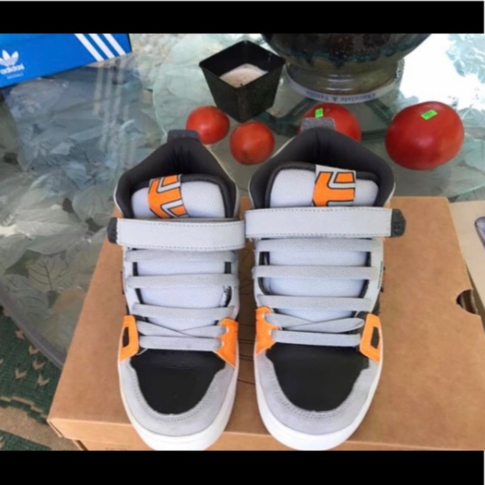 Etnies shoes