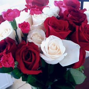 Meet your Posher, Lizbeth