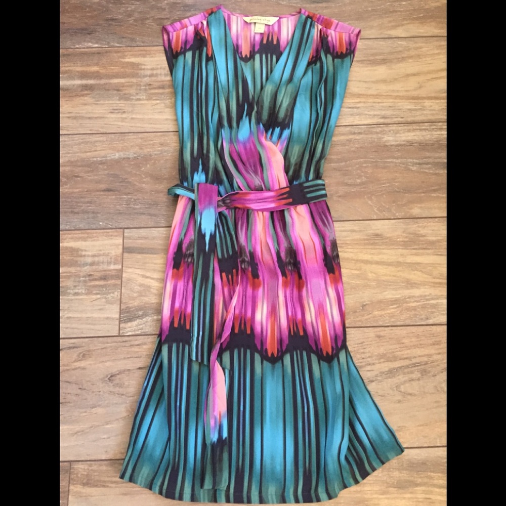 Presley Skye multi colored dress