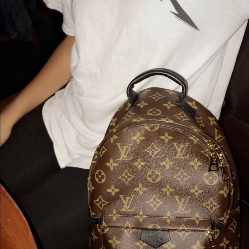Louis Vuitton Palm Springs bag PM