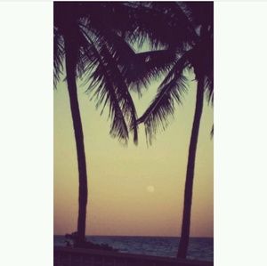 Meet your Posher, Beatrice