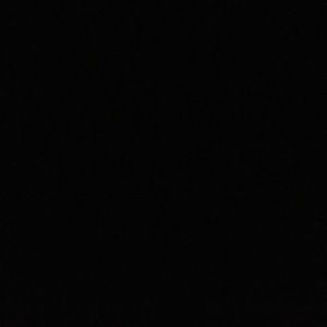 Meet your Posher, Julio