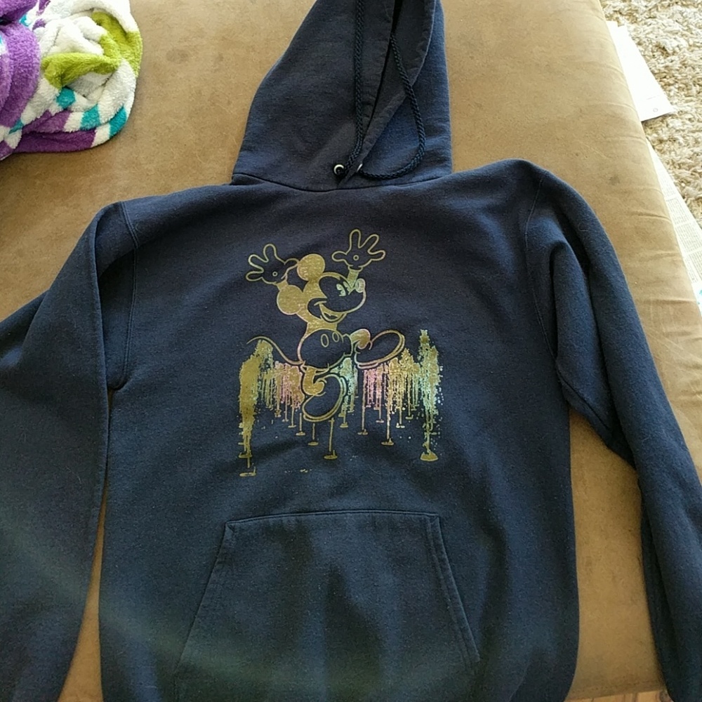 Disney world of color sweatshirt