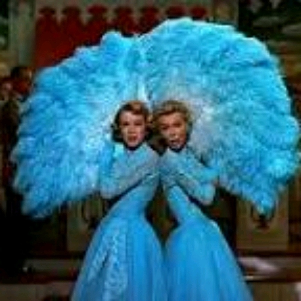 Meet your Posher, Ann