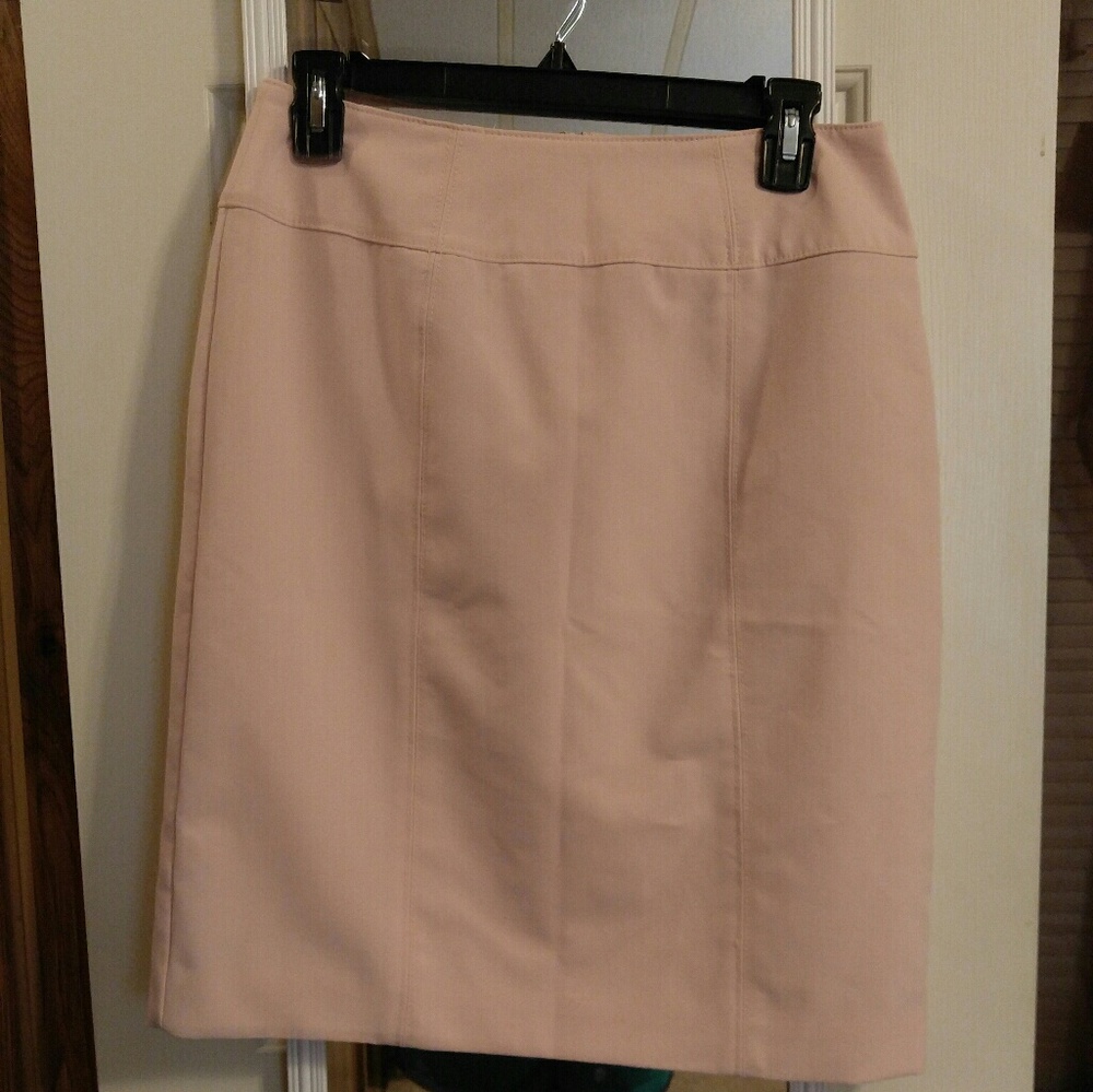 Blush Pencil Skirt
