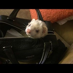 Meet your Posher, Heather