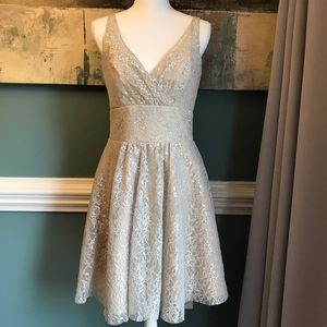 Alvina Valenta Midi Beige Silver Lace Coctail