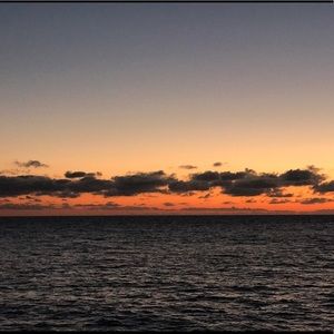 Meet your Posher, Connie