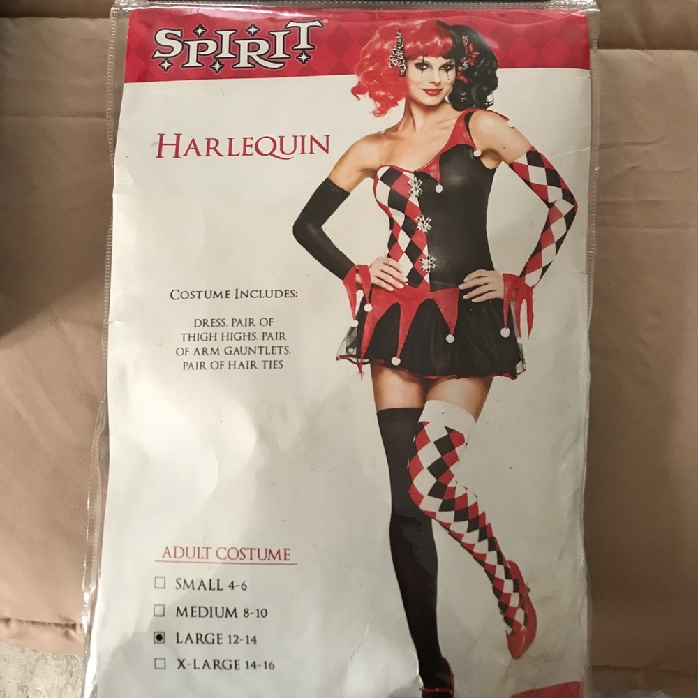 Harlequin halloween custome