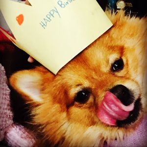 Meet your Posher, Allison