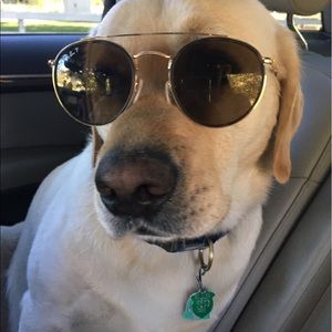 Meet your Posher, Claire