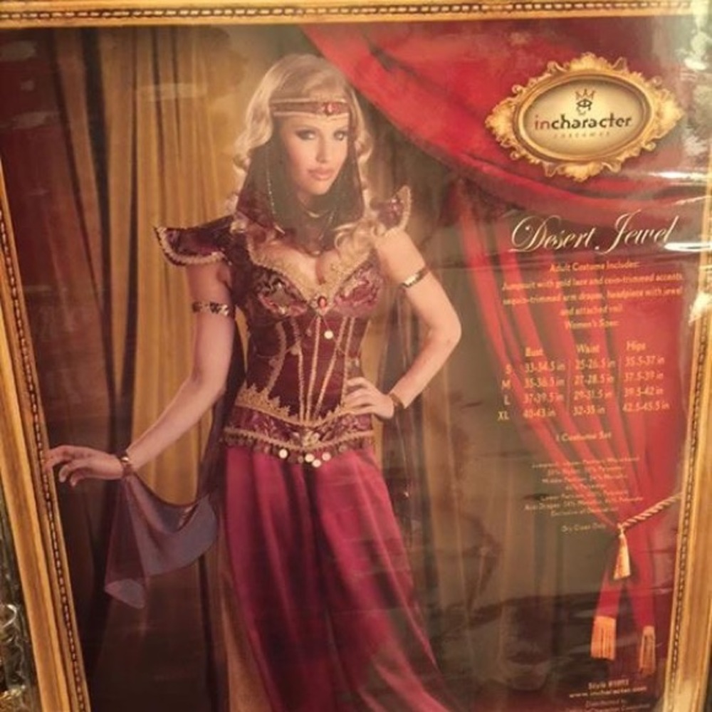 Harem girl costume