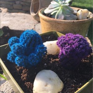 Meet your Posher, Nicketa