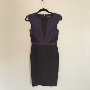 Antonio Melani Shift Dress