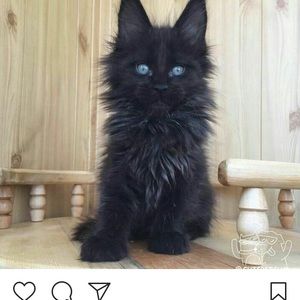 Meet your Posher, Christian