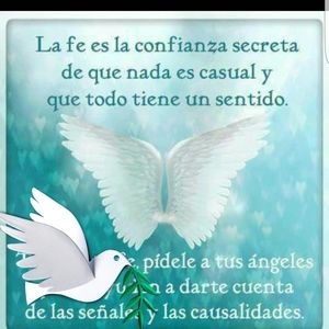 Meet your Posher, Amparo