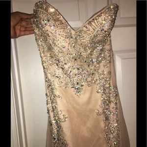 Blush Pink Mermaid dress